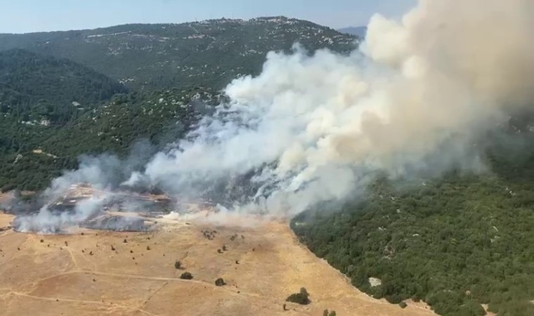 Antalya Kaşta orman yangını başladı