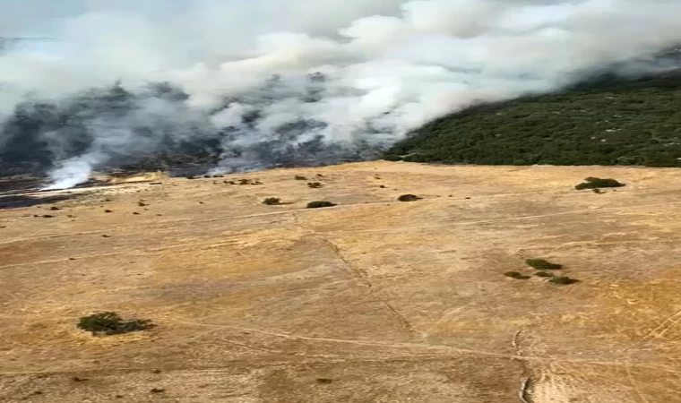 Antalya’da orman yangını