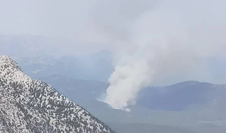 Antalya’da orman yangını 