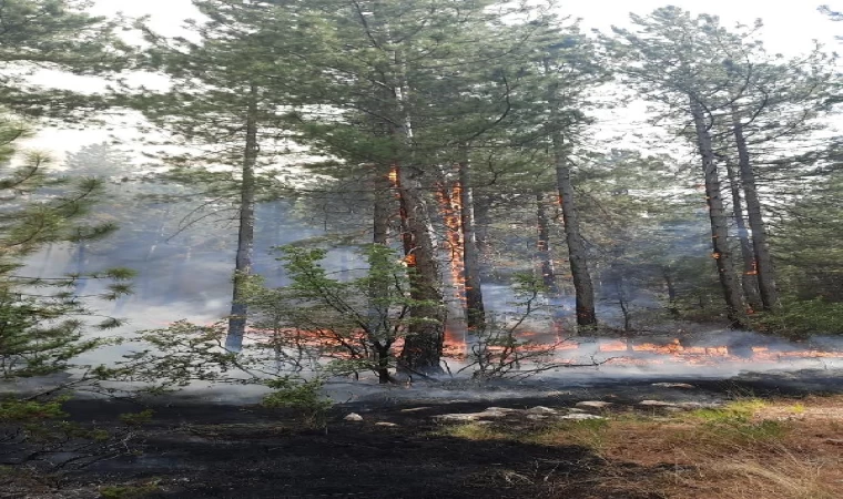 Antalya’da orman yangını (3)