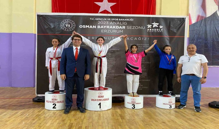 Aşkalede Taekwondo Analig grup müsabakaları başladı