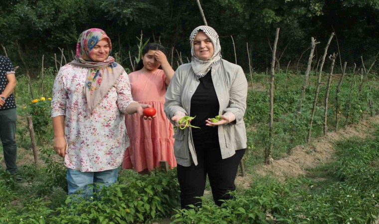 Ata tohum ile yerel çeşitler korunuyor