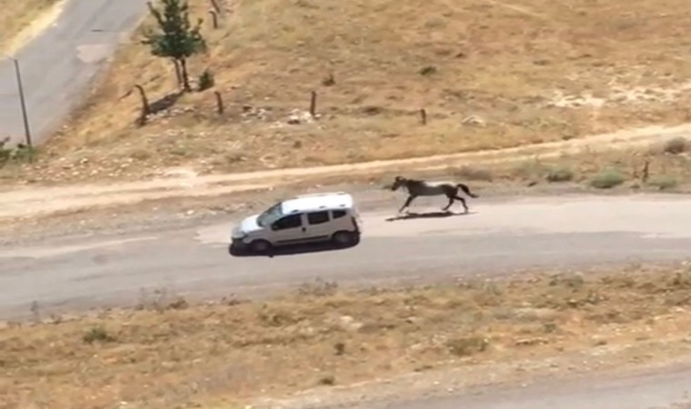 Atı aracın arkasına bağlayıp koşturdu, görüntüler pes dedirtti