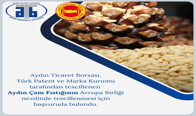 Aydın Ticaret Borsası tarafından tescillenen Aydın Çam Fıstığı, AB yolunda