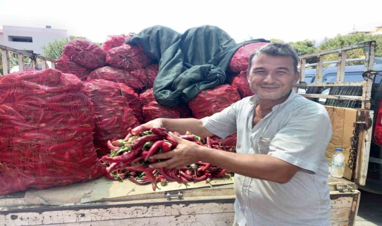 Aydının kavurucu sıcağı ilin ekonomisini canlandırdı