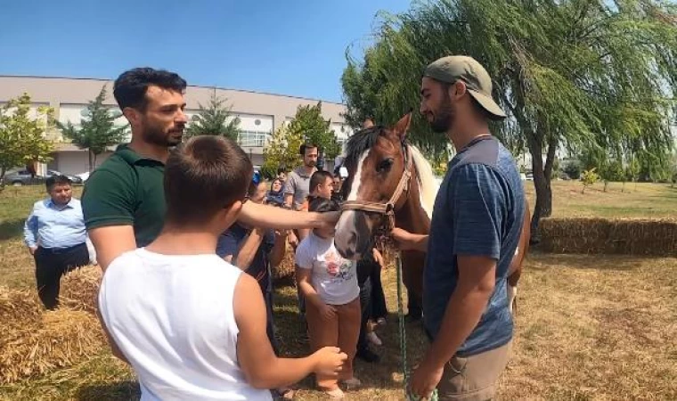 Balıkesir’de down sendromlu çocuklara atlı terapi