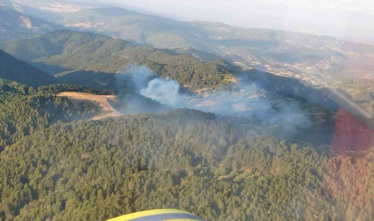 Balıkesirde orman yangını kontrol altına alındı