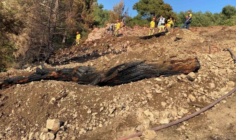 Balıkesirde orman yangını söndürüldü