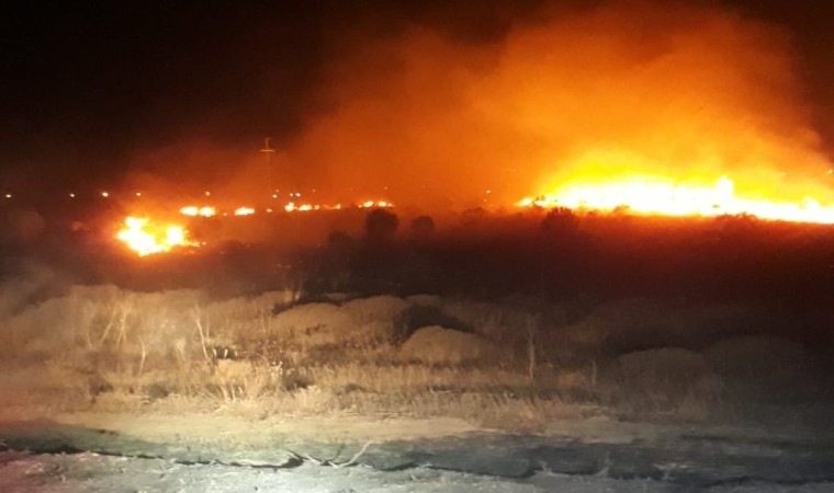 Bandırmada park halindeki araçta çıkan yangın ormanlık alana sıçradı