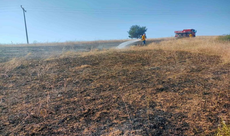 Bilecikte kuşun elektrik tellerine çarpmasıyla çıkan anız yangını söndürüldü