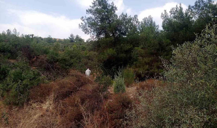 Bilecikte ormanlık alanda kimliği belirsiz erkek cesedi bulundu