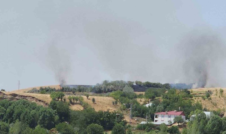 Bingölde ağaçlık alanda çıkan yangın büyümeden söndürüldü