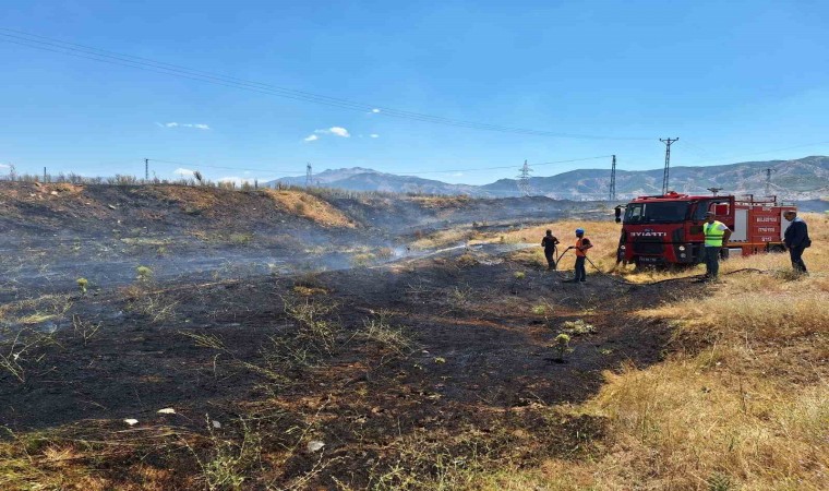 Bingölde anız yangını büyümeden söndürüldü