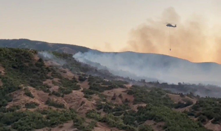 Bingölde orman yangınına müdahale sürüyor