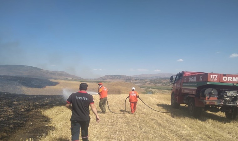 Bingölde örtü yangını ormanlık alana sıçramadan söndürüldü