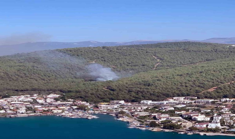 Bodrum Güvercinlikte orman yangını