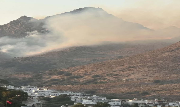 Bodrum’da maki yangını