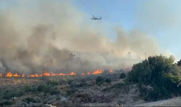 Bodrum’da makilik yangını