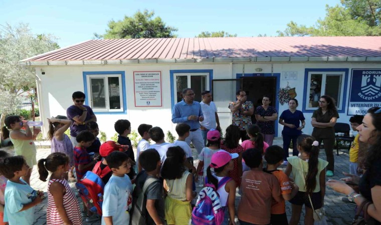 Bodrumda öğrenciler can dostlar ile bir araya geldi