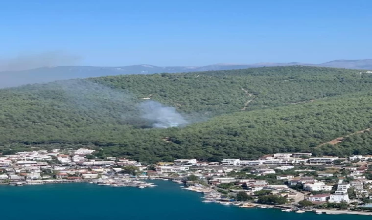 Bodrum’da orman yangını