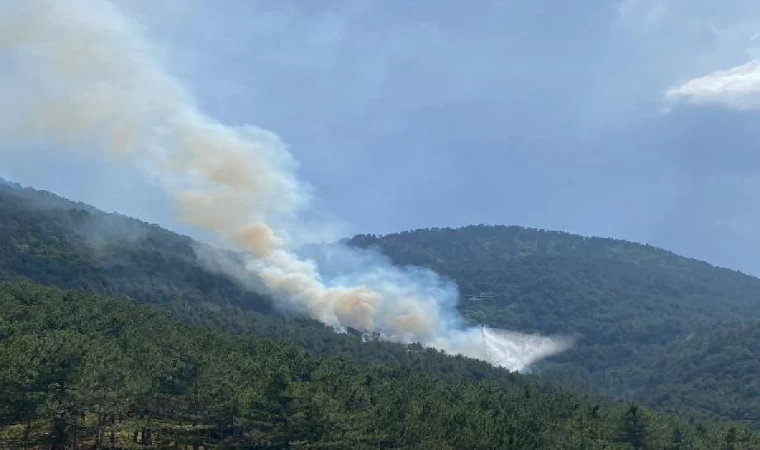 Bolu’da orman yangını