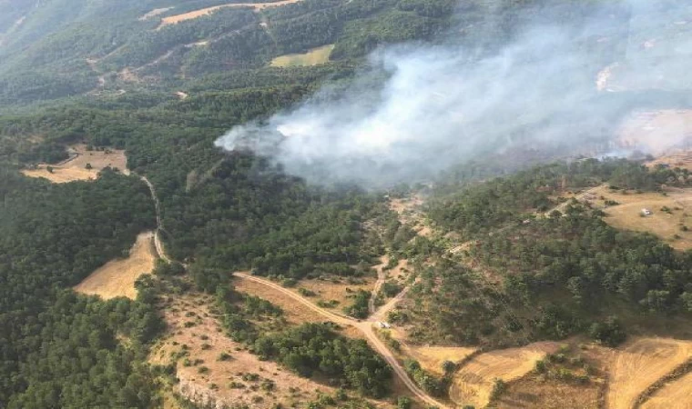 Bolu’da orman yangını 2’nci gününde