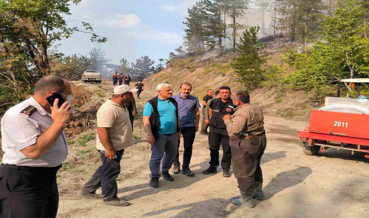 Boluda orman yangınına müdahale sürüyor