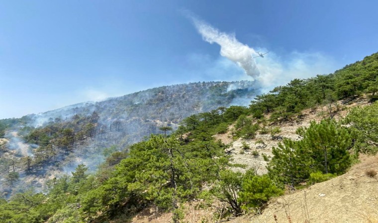 Boludaki orman yangına müdahale sürüyor