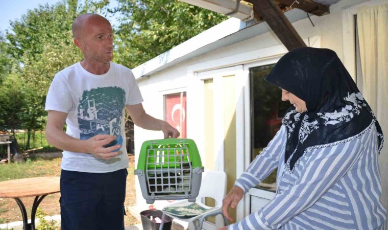 Bozüyük Belediyesinden kısırlaştırma yapanlara mama desteği