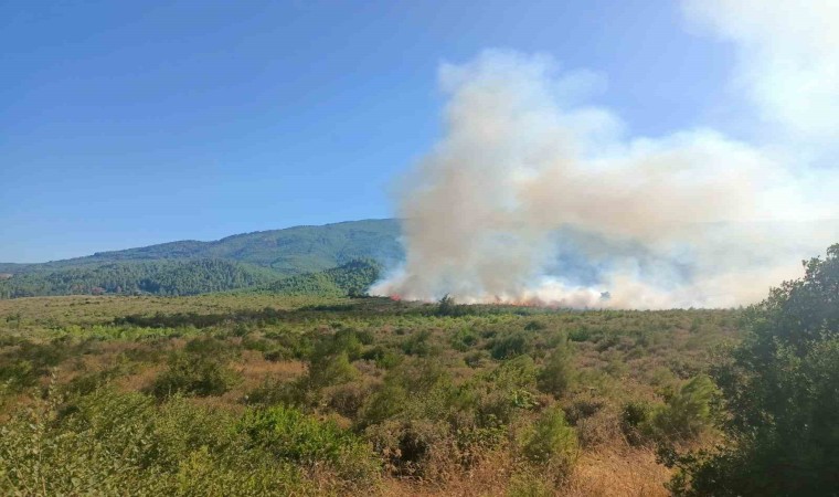 Burdurda orman yangını havadan ve karadan müdahale ile kontrol altına alındı.