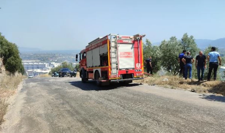 Bursa’da 2 farklı zeytinlikte yangın