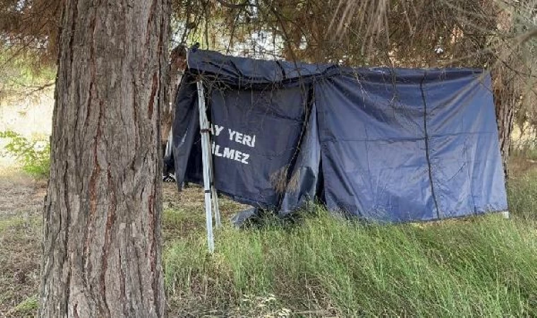 Bursa’da, ormanda erkek cesedi bulundu