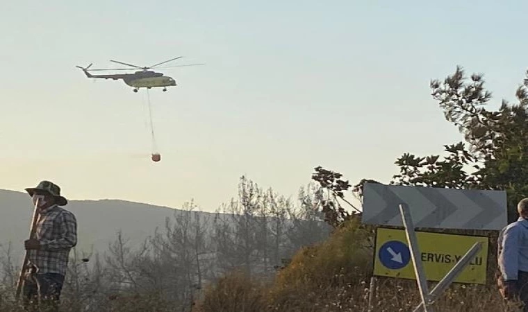 Bursa’nın Karacabey ilçesinde orman yangını