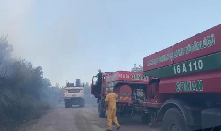 Bursa’nın Karacabey ilçesinde orman yangını (2)