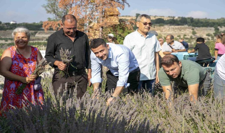 Çaltıbozkırda Lavanta Hasat Şenliği