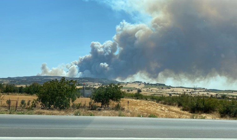 Çanakkalede orman yangını