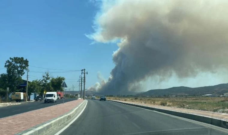 Çanakkale’de orman yangını 