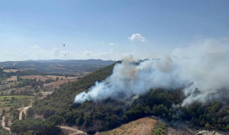 Çanakkale’de orman yangını