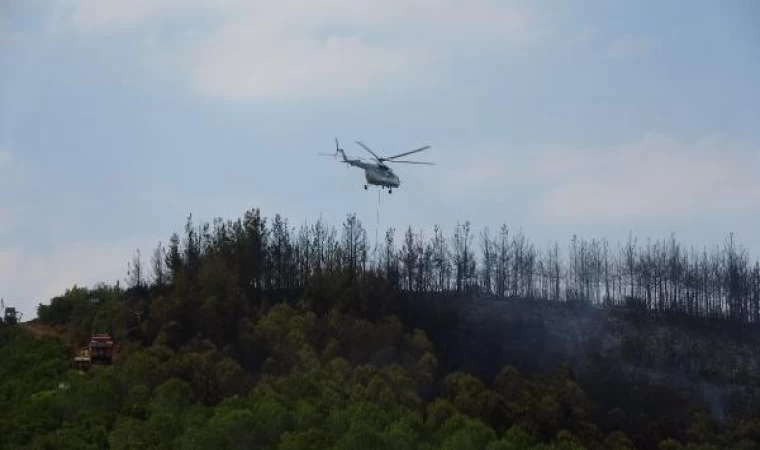 Çanakkale’de orman yangını (2)