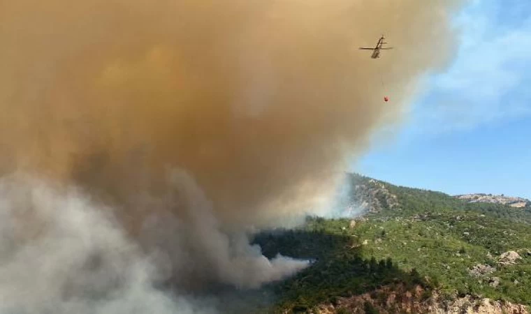 Çanakkale’de orman yangını (2)