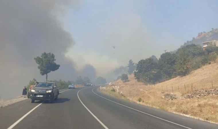 Çanakkale’de orman yangını (3)