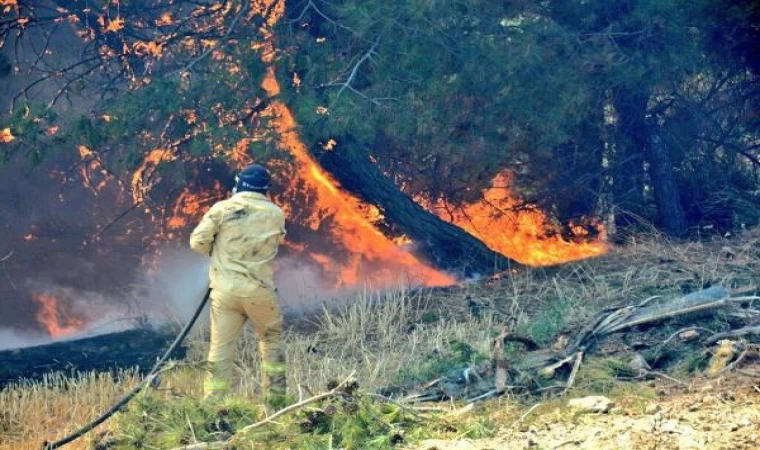 Çanakkale’de orman yangını (6)