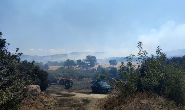 Çanakkalede tarım arazilerinin bulunduğu bölgede yangın