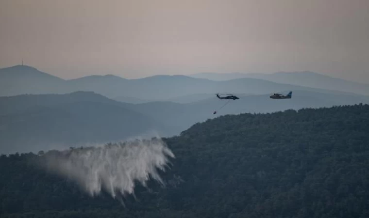 Çanakkale’deki orman yangını, 3’üncü günde kontrol altında (8)