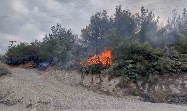 Çanakkaledeki orman yangını kontrol altına alındı