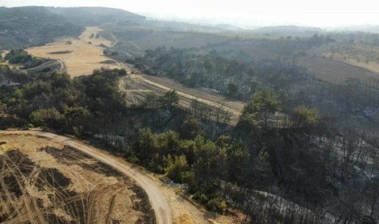 Çanakkale’deki orman yangınında 2’nci gün