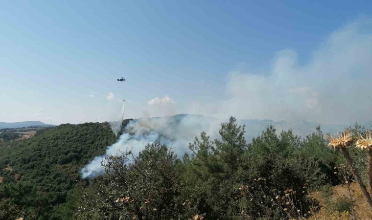 Çandaki orman yangını kontrol altına alındı