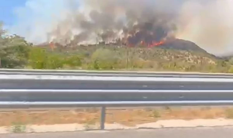 Çankırı’da orman yangını