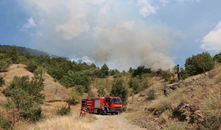 Çankırıdaki orman yangını kontrol altına alındı