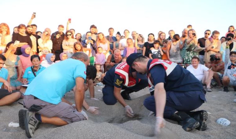 Çıralı’da caretta caretta turizmi